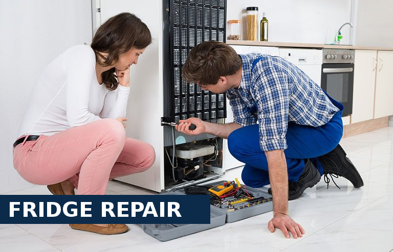 Fridge Repair Banstead